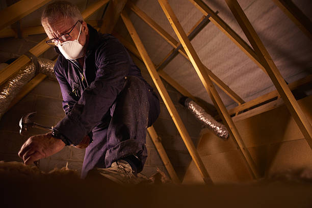Best Eco-Friendly Insulation in Conrad, MT