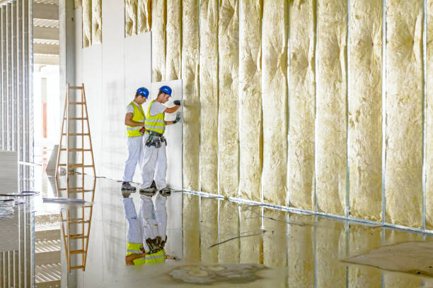 Best DIY Insulation Kits and Guidance in Conrad, MT